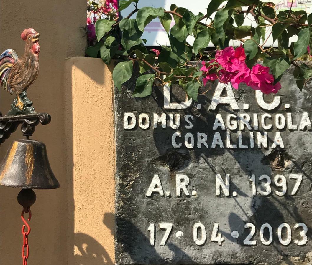 Domus Agricolae Corallina Торре-дель-Греко Екстер'єр фото